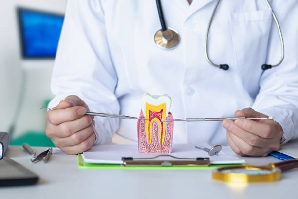 Best Emergency Tooth Extraction in Lannon, WI